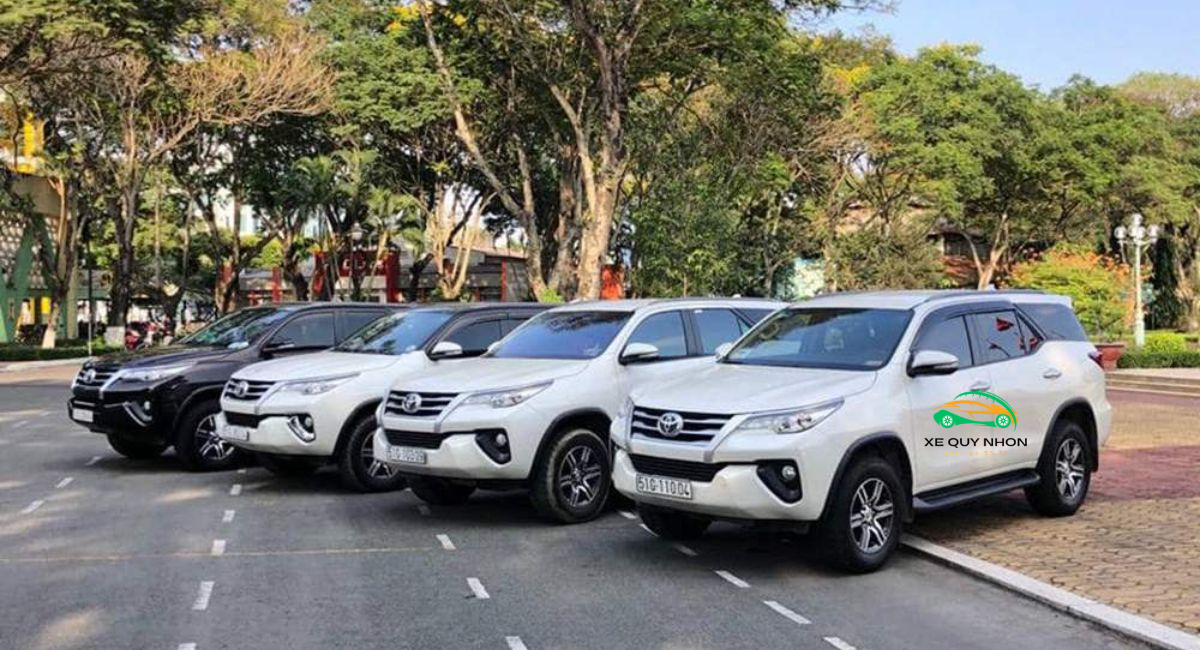 dat-xe-taxi-quy-nhon-co-don-khach-o-phu-cat-taxi-quy-nhon