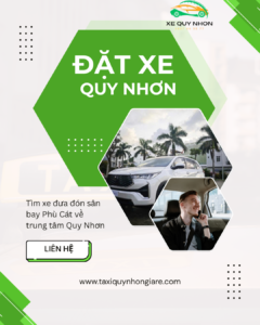 tim-xe-dua-don-san-bay-phu-cat-ve-trung-tam-quy-nhon-taxi-quynhon